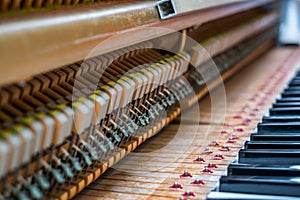 Details inside of the piano with keyboards and piano-string