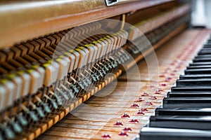 Details inside of the piano with keyboards and piano-string