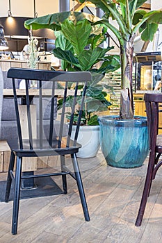 Details of the interior of modern cafe or coffee house with tropical plants, wooden tables, chairs and wheat ears in glass vase.