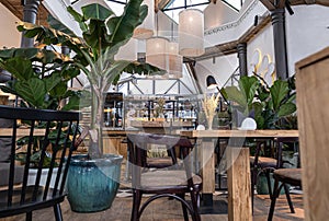 Details of the interior of modern cafe or coffee house with tropical plants, wooden tables, chairs and wheat ears in glass vase.