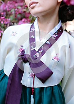 Details of a Korean national hanbok dress worn by a beautiful young Asian girl. Concept of Eastern cultural traditions photo