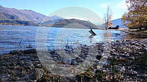 Details of Lake Wanaka, New Zealand