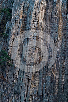 Details of lava, basalt columns. GÃ¼zelcehisar is famous for its lava, basalt columns. Amasra, Bartin, Turkey