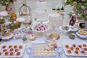 Details of luxurious table of sweets and birthday cake