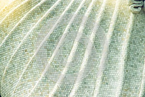 Details of the marble mosaic are curly patterns of the part called the yellow robe of a large Buddha statue on the hilltop