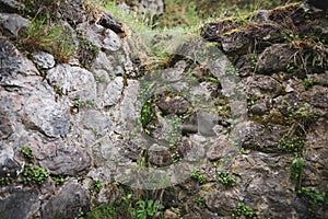 Details of a medieval stone wall inside the Bran Castle, known also as DraculaÃ¢â¬â¢s Castle in Transylvania, Romania