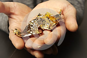 Details of metal gold leafe creased in gilder`s hand