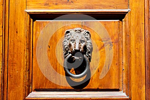 Details of a metal Lion`s head door knocker photo