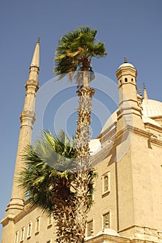 Details Mosque of Mohamed Ali
