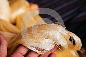 Yellow silk thread traditional sericulture of Thai silk photo