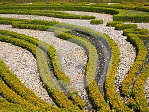 Details of a nice french garden