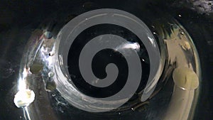 Details of oil and water moving slowly in glass bowl
