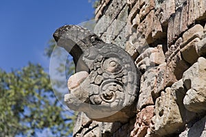 Details of the Ornaments, bird