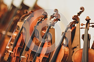 Details with parts of violins before a symphonic classical concert