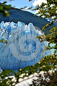 Details of Perito Moreno`s Glacier photo