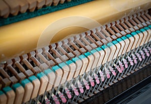 Details of piano mechanism gavel - string, pins and hammers