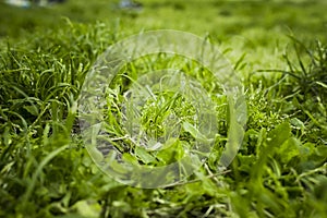 Spring begins ... colors explode