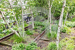 Details of the rails with birch trees in High Line Park, New York, USA