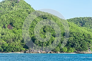 Details of Sainte Anne island shoreline