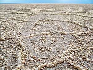 The details of salt crystals in salt flat polygons in desert , Iran