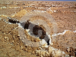 The details of salt crystals in salt flat polygons in desert , Iran