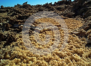 The details of salt crystals in salt flat polygons in desert , Iran