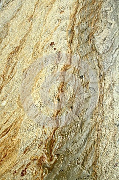 Details in the sand at the beach in Denmark