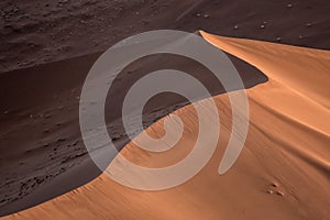 Details of a sand dune