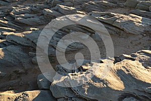 Details on sand rocks at Praia do Malhao beach, in Portugal