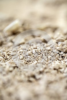 Details of sandstone texture background Seamless sand selective focus. macro close up soft colors