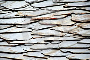 Details of shale roof on a house built from schist in Piodao, one of Portugal`s schist villages in the Aldeias do Xisto photo