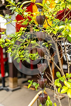 Details in a Shintoist shrine in Tokyo photo