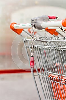 Details of shopping carts