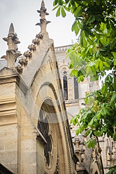 Details of the side of the Cathedral Saint Andre