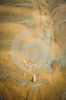 In details single star fish lying on the sand of sea shore where sands made a very eye catching pattern on a beach near the