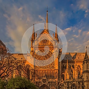 Details of the southern facade of Notre Dame de Paris Cathedral facade with the rose window and ornate spires in the warm light of