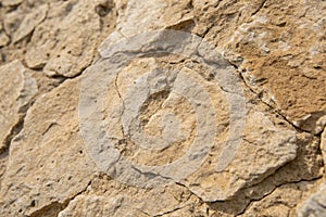 Details of stone texture