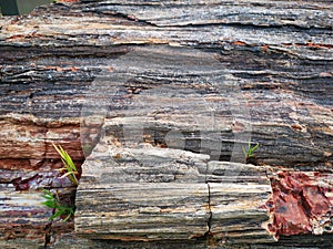 Details of stone textures - colorful rock textured