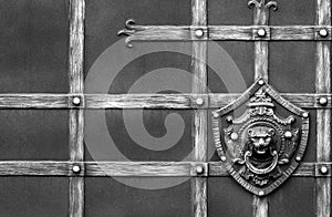 Details, structure and ornaments of forged iron gate. Decorative