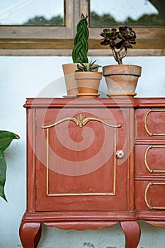 Vintage restorated sideboard with plants and cactus, in outdoor patio. photo