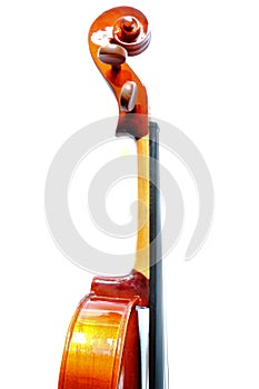 Details of violin head