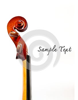 Details of violin head isolated