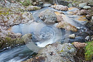 Details of the whirlpools in the Riera major creek