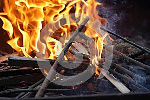 Wild Fire at a barbecue on great night