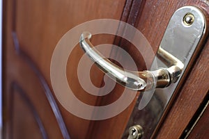 Details of wooden door handle