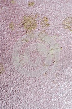 Detal of mold and moisture buildup on pink wall
