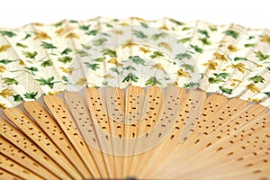 Detalis Chinese fan