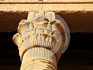 Detalle columna casa del nacimiento divino en Dendera .Egipto.