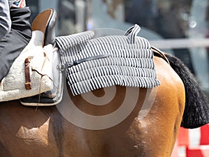 Detalle de la rumpera de la silla de montar del caballo para el jinete cuando monta la grupa photo