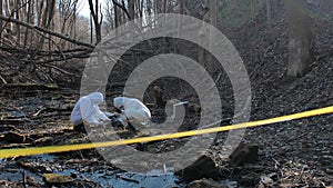 Detectives collecting evidence in a crime scene. Forensic specialists making expertise. Police officers and